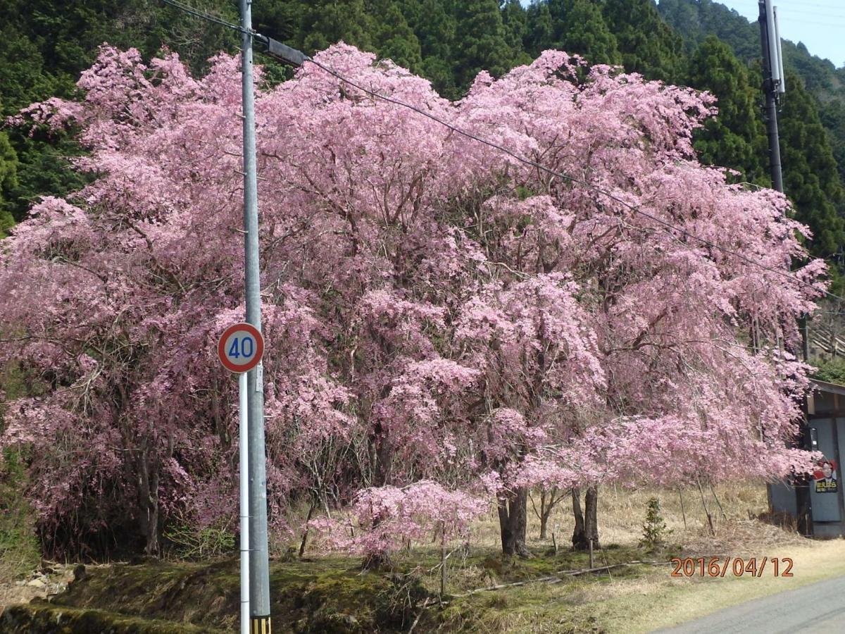 京の宿 西大路 familie Kyoto Eksteriør bilde